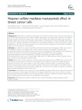 Heparan sulfate mediates trastuzumab effect in breast cancer cells