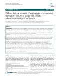 Differential expression of colon cancer associated transcript1 (CCAT1) along the colonic adenoma-carcinoma sequence