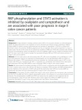 RKIP phosphorylation and STAT3 activation is inhibited by oxaliplatin and camptothecin and are associated with poor prognosis in stage II colon cancer patients