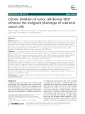Chronic inhibition of tumor cell-derived VEGF enhances the malignant phenotype of colorectal cancer cells