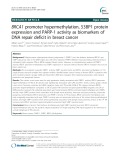 BRCA1 promoter hypermethylation, 53BP1 protein expression and PARP-1 activity as biomarkers of DNA repair deficit in breast cancer