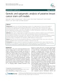 Genetic and epigenetic analysis of putative breast cancer stem cell models