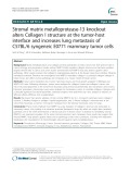 Stromal matrix metalloprotease-13 knockout alters Collagen I structure at the tumor-host interface and increases lung metastasis of C57BL/6 syngeneic E0771 mammary tumor cells