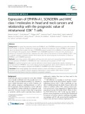 Expression of EPHRIN-A1, SCINDERIN and MHC class I molecules in head and neck cancers and relationship with the prognostic value of intratumoral CD8+ T cells