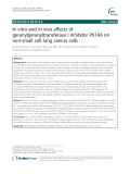 In vitro and in vivo effects of geranylgeranyltransferase I inhibitor P61A6 on non-small cell lung cancer cells