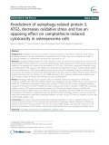 Knockdown of autophagy-related protein 5, ATG5, decreases oxidative stress and has an opposing effect on camptothecin-induced cytotoxicity in osteosarcoma cells