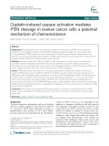 Cisplatin-induced caspase activation mediates PTEN cleavage in ovarian cancer cells: A potential mechanism of chemoresistance
