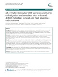 αB-crystallin stimulates VEGF secretion and tumor cell migration and correlates with enhanced distant metastasis in head and neck squamous cell carcinoma