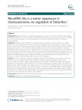 MicroRNA-34a is a tumor suppressor in choriocarcinoma via regulation of Delta-like 1