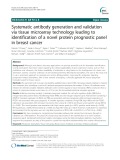 Systematic antibody generation and validation via tissue microarray technology leading to identification of a novel protein prognostic panel in breast cancer