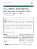 CD133 expression is not an independent prognostic factor in stage II and III colorectal cancer but may predict the better outcome in patients with adjuvant therapy