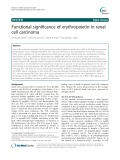 Functional significance of erythropoietin in renal cell carcinoma