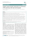 Calpain system protein expression in carcinomas of the pancreas, bile duct and ampulla