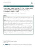 In vitro and in vivo anti-tumor effect of metformin as a novel therapeutic agent in human oral squamous cell carcinoma