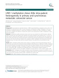 LINE-1 methylation shows little intra-patient heterogeneity in primary and synchronous metastatic colorectal cancer