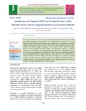 Identification and mapping of QTLS for drought resistance in rice