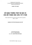 Luận án Phó Tiến sĩ Khoa học Kinh tế: Sử dụng phương pháp dự báo và cân đối trong việc điều tiết vĩ mô