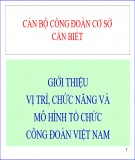 Bài giảng Giới thiệu vị trí, chức năng và mô hình tổ chức Công đoàn Việt Nam