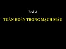 Bài giảng Tuần hoàn trong mạch máu