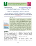 Integrated nutrient management on sustainable production of rice- maize cropping system in Bhadra command area of Karnataka, India