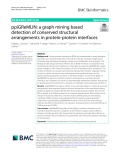 PpiGReMLIN: A graph mining based detection of conserved structural arrangements in protein-protein interfaces
