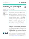 An embedded gene selection method using knockoffs optimizing neural network