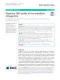 Repetitive DNA profile of the amphibian mitogenome