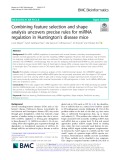 Combining feature selection and shape analysis uncovers precise rules for miRNA regulation in Huntington’s disease mice