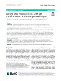 Wound area measurement with 3D transformation and smartphone images