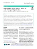 Multiple-kernel learning for genomic data mining and prediction