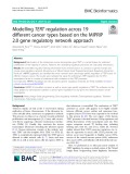 Modelling TERT regulation across 19 different cancer types based on the MIPRIP 2.0 gene regulatory network approach