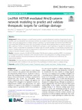 LncRNA HOTAIR-mediated Wnt/β-catenin network modeling to predict and validate therapeutic targets for cartilage damage