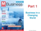 Lecture Business (4/e): Chapter 2 - Ferrell, Hirt, Ferrell
