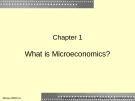 Lecture Principles of Microeconomics: Chapter 1 - James D. Miller