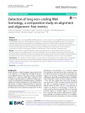 Detection of long non–coding RNA homology, a comparative study on alignment and alignment-free metrics
