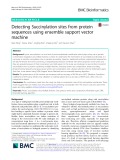 Detecting Succinylation sites from protein sequences using ensemble support vector machine