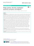 Phage spanins: Diversity, topological dynamics and gene convergence