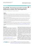 EqualTDRL: Illustrating equivalent tandem duplication random loss rearrangements