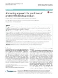 A boosting approach for prediction of protein-RNA binding residues