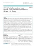 CNN-BLPred: A Convolutional neural network based predictor for β-Lactamases (BL) and their classes