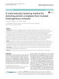 A multi-network clustering method for detecting protein complexes from multiple heterogeneous networks