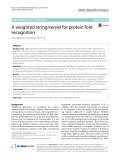 A weighted string kernel for protein fold recognition
