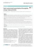Semi-automated quantitative Drosophila wings measurements