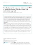 Identification of the sequence determinants of protein N-terminal acetylation through a decision tree approach