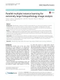 Parallel multiple instance learning for extremely large histopathology image analysis
