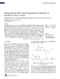 Phương pháp Rp-HPLC định lượng đồng thời Salbutamol và Bromhexin trong si-rô thuốc