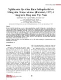 Nghiên cứu đặc điểm hình thái quần thể cá Măng sữa Chanos chanos (Forsskal, 1977) ở vùng biển đông nam Việt Nam