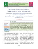 Efficacy of Bio NP liquid biofertilizer in chilli nursery