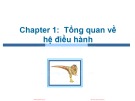 Bài giảng Hệ điều hành: Chapter 1 - ThS. Trần Thị Như Nguyệt