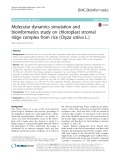 Molecular dynamics simulation and bioinformatics study on chloroplast stromal ridge complex from rice (Oryza sativa L.)